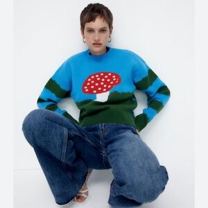Zara Blue Mushroom Trippy Check Knit Chunky Sweater Small Blogger Favorite